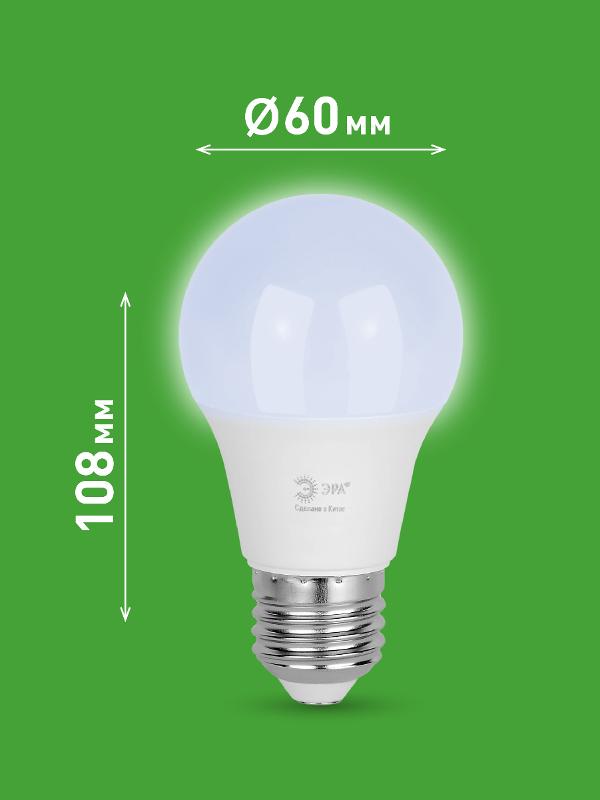 Лампа светодиодная  GREEN LINE LED A60-12W-865-E27 GL E27 12 Вт груша холодный свет | Б0067129 | ЭРА — миниатюра 2