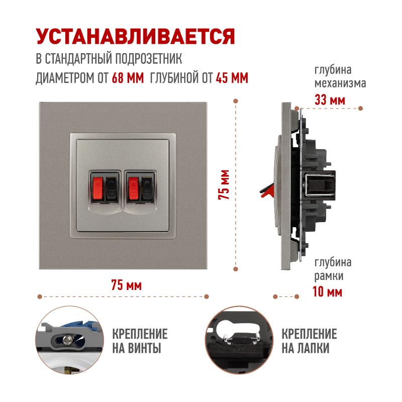 Розетка Elegance 14-3112-16 аудио двойная, титан | Б0065774 | ЭРА — миниатюра 2