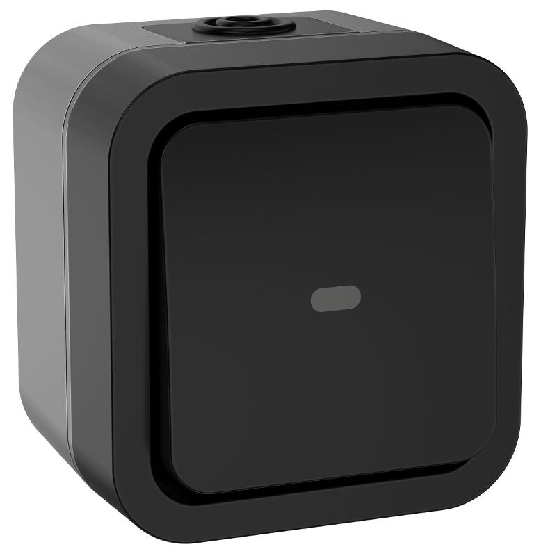 TORS Переключатель однокл. с ин. 10А IP55 TS102 графит | TS-V10-1-10-55-K53 | IEK — IEK (ИЭК)