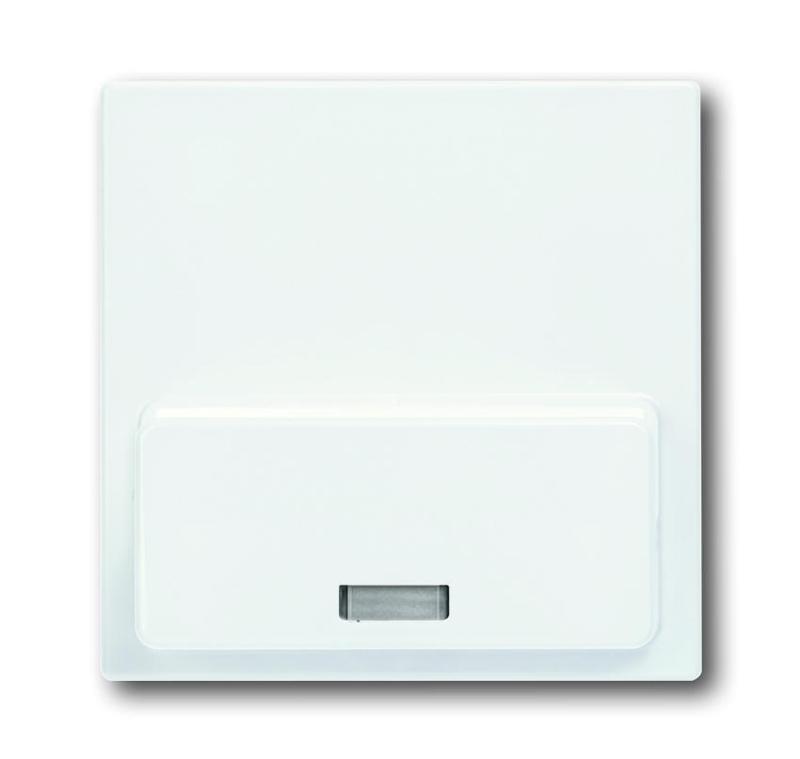 ABB Basic 55 Альп. белый Плата центральная (накладка)для механизма док-станции Busch-iDock 8218 U | 8200-0-0171 | ABB — ABB