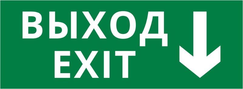 Пиктограмма ДСО-101-IP20 "Выход - вниз" | 62251DEK | DEKraft — фото 1 | Sento