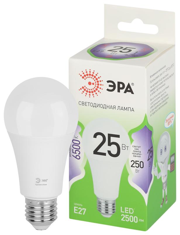 Лампа светодиодная  GREEN LINE LED A60-25W-865-E27 GL E27 25 Вт груша холодный свет | Б0067111 | ЭРА — миниатюра 1