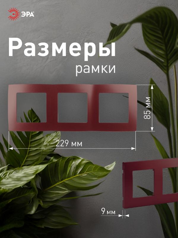 Рамка на 3 поста 12-5003-25  ,  бордо  |Б0019408 | ЭРА — миниатюра 4