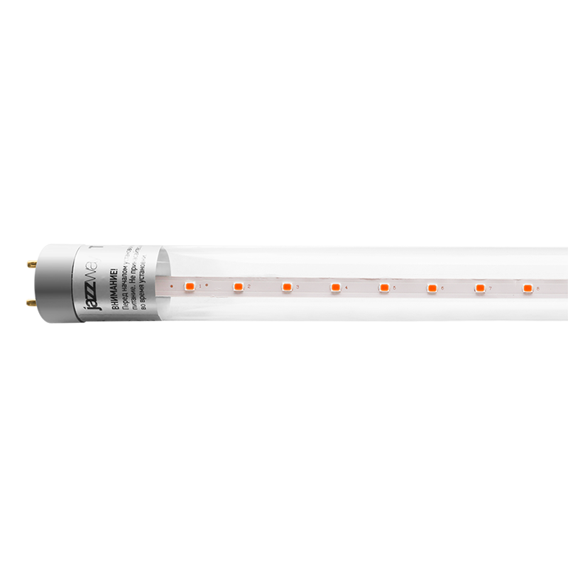 Лампа светодиодная PLED T8 600 Agro 8w CL G13 ( для растений) | .5025899 | Jazzway — Jazzway