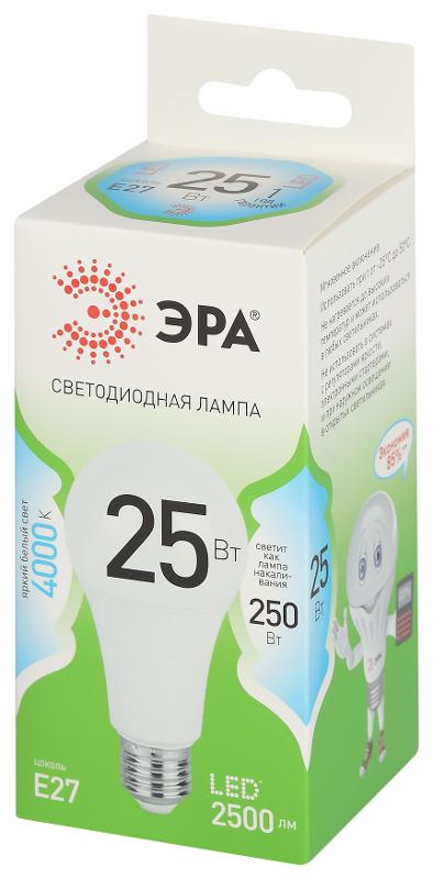 Лампа светодиодная  GREEN LINE LED A60-25W-840-E27 GL E27 25 Вт груша яркий белый свет | Б0067117 | ЭРА — миниатюра 5