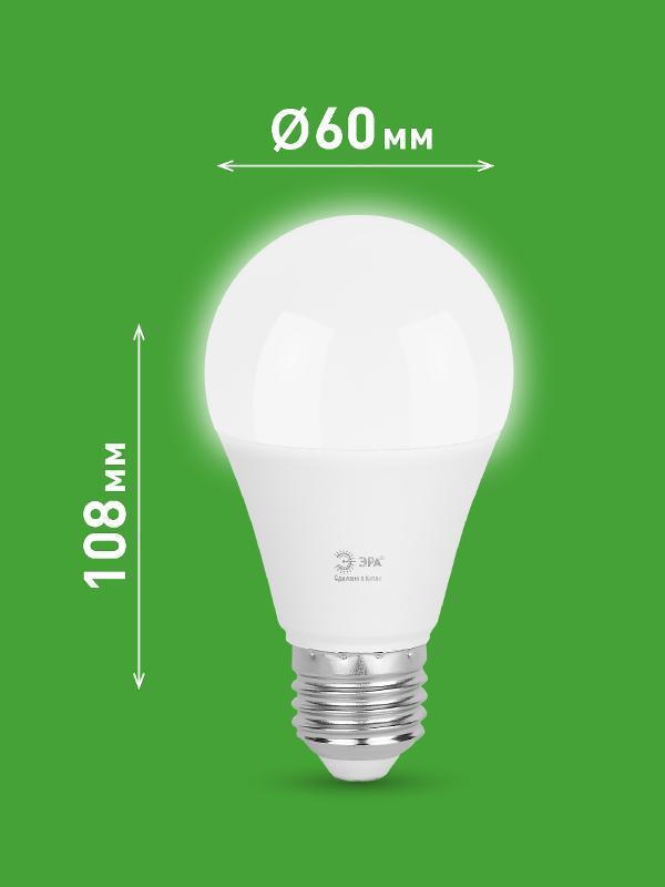Лампа светодиодная  GREEN LINE LED A60-20W-840-E27 GL E27 20 Вт груша яркий белый свет | Б0067116 | ЭРА — миниатюра 2