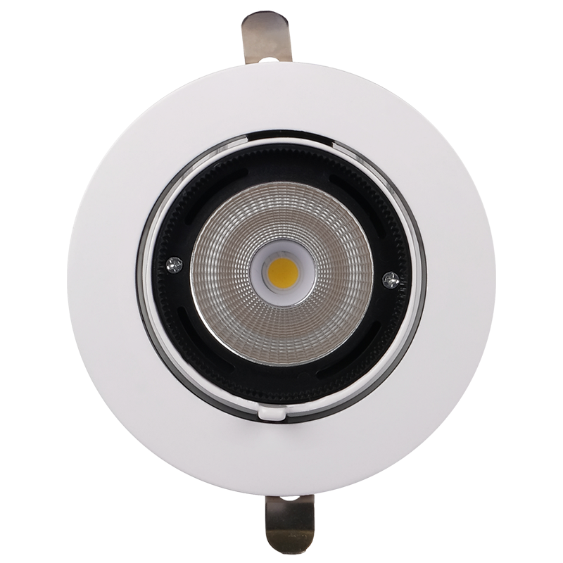 Светильник светодиодный встраиваемый downlight ДВО PLED DL4 30W 4000K 24° поворот White IP40 | .5021907 | Jazzway — миниатюра 4