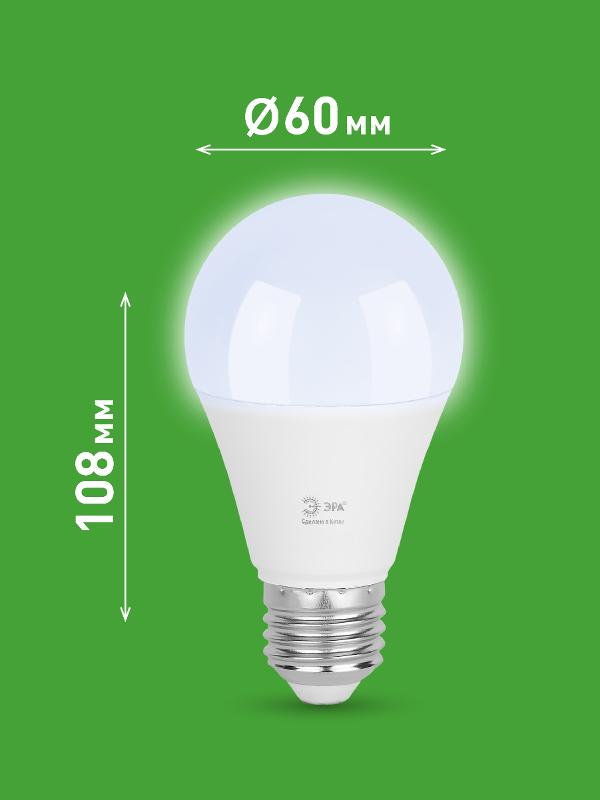 Лампа светодиодная GREEN LINE LED A60-20W-865-E27 GL E27 20 Вт груша холодный свет | Б0067102 | ЭРА — миниатюра 2