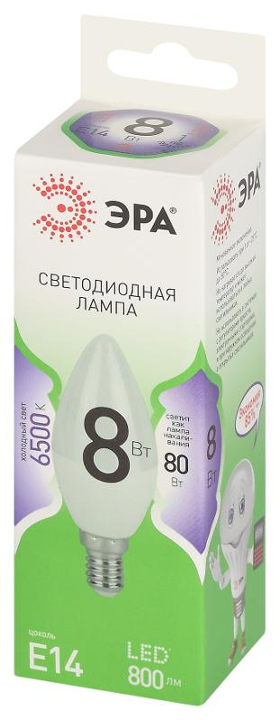 Лампа светодиодная  GREEN LINE LED B35-8W-865-E14 GL E14 8 Вт свеча холодный свет | Б0067101 | ЭРА — миниатюра 5