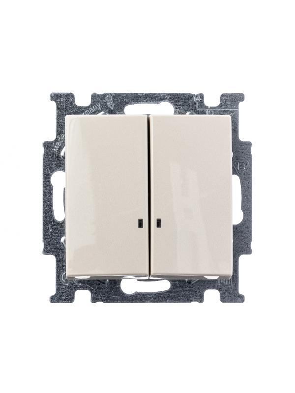 ABB Basic 55 Сл. кость Выключатель 2-клавишный с подсветкой | 1012-0-2157  | 2CKA001012A2157 | ABB — миниатюра 2