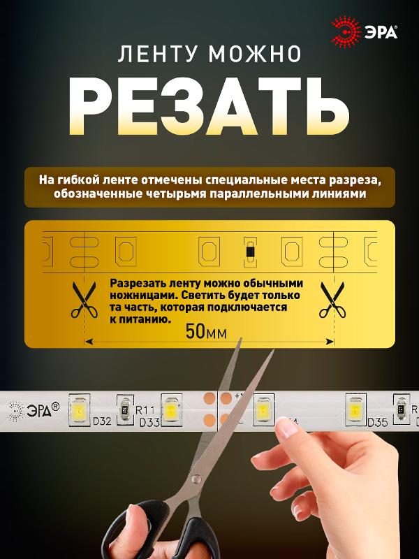 Лента светодиодная 60 диодов IP65 теплый белый цвет LS2835-60LED-IP65-WW-eco-5m | Б0035592 | ЭРА — миниатюра 2
