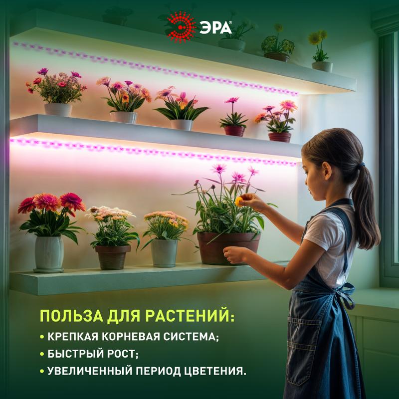 Светодиодная лента для растений  FITO-Strip Light-RB-27W-3m-12V-IP65 красно-синего спектра 3м IP65 с адаптером 12V | Б0064617 | ЭРА — миниатюра 2