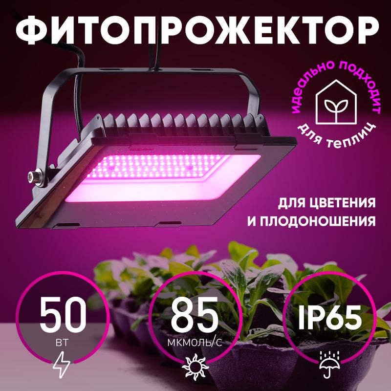 Прожектор светодиодный фито для растений красно-синий спектр FITO-50W-RB-LED — миниатюра 6