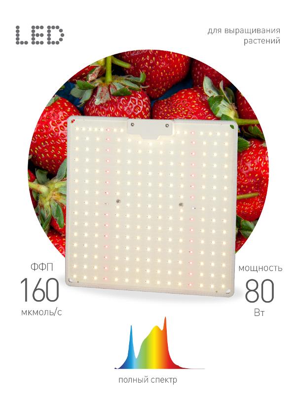 Фитопрожектор для растений светодиодный 80Вт FITO-80W-LED-QB Quantum board | Б0053285 | ЭРА — миниатюра 1