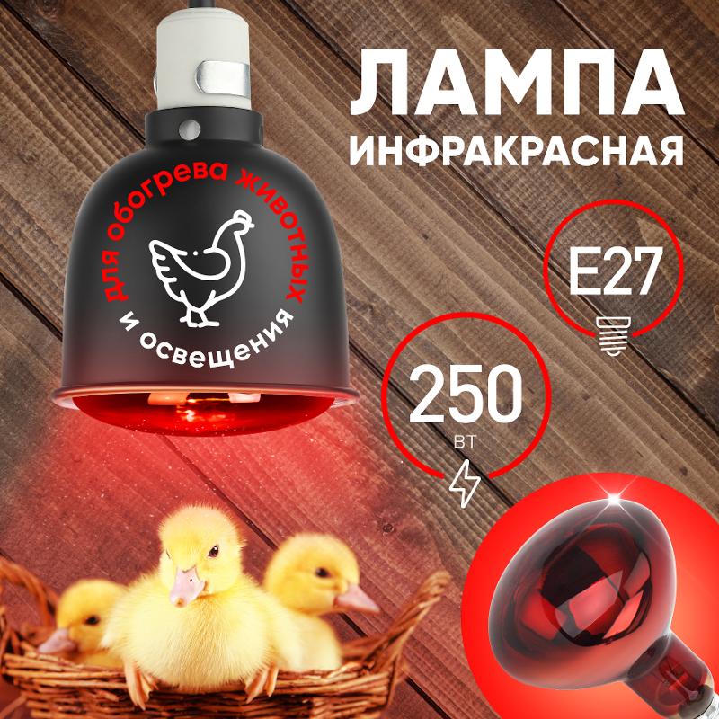 Инфракрасная лампа 250Вт ИКЗК 220-250 R127 Е27 для обогрева животных | Б0055442 | ЭРА — миниатюра 5