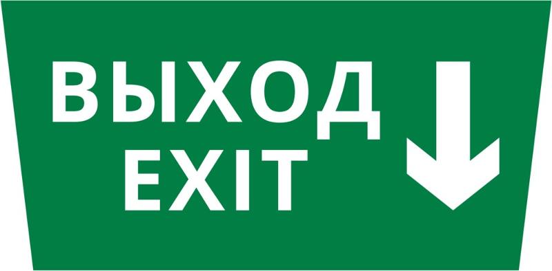 Пиктограмма ДСО-101-IP65 "Выход - вниз" | 62293DEK | DEKraft — фото 1 | Sento