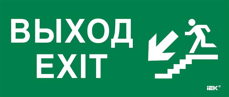 Этикетка самокл. 330х140мм "Выход/лест. вниз/фигура" | LPC10-1-33-14-VLVNF | IEK — фото 1 | Sento