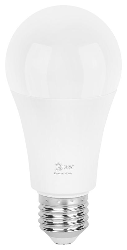 Лампа светодиодная  GREEN LINE LED A60-25W-865-E27 GL E27 25 Вт груша холодный свет | Б0067111 | ЭРА — миниатюра 6