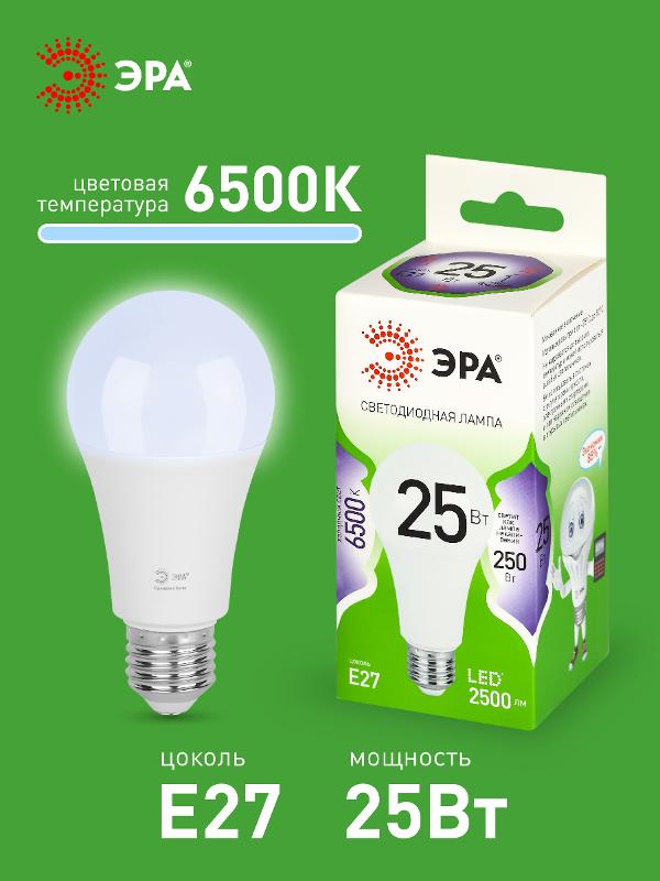 Лампа светодиодная  GREEN LINE LED A60-25W-865-E27 GL E27 25 Вт груша холодный свет | Б0067111 | ЭРА — миниатюра 3