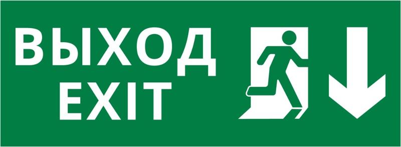 Пиктограмма ДСО-101-IP20 "Выход Фигура - вниз 1" | 62243DEK | DEKraft — фото 1 | Sento