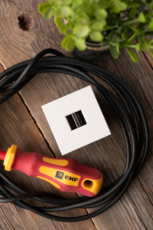 Розетка USB, сила тока 2,1 А (2 гнезда) без индикатора | E2MR2-20USB-10 | EKF — миниатюра 10