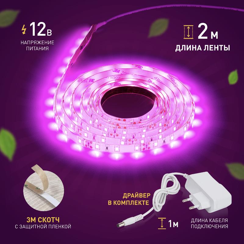 Светодиодная лента для растений FITO-Strip Light-RB-2m красно-синего спектра, 2 м, IP65 | Б0057282 | ЭРА — миниатюра 5