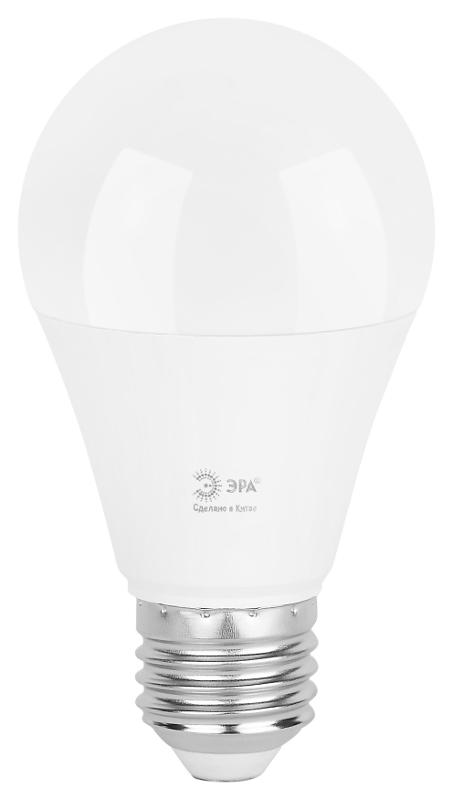 Лампа светодиодная  GREEN LINE LED A60-20W-840-E27 GL E27 20 Вт груша яркий белый свет | Б0067116 | ЭРА — миниатюра 6