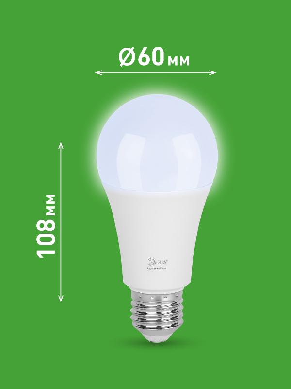 Лампа светодиодная  GREEN LINE LED A60-25W-865-E27 GL E27 25 Вт груша холодный свет | Б0067111 | ЭРА — миниатюра 2