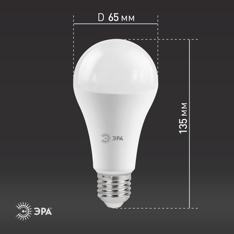 Лампа светодиодная LED 25Вт E27 2700К СТАНДАРТ груша | Б0035334 | ЭРА — миниатюра 4