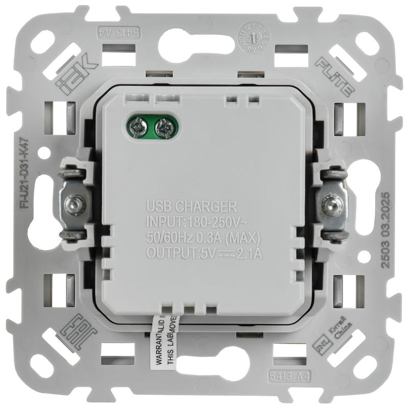 FLITE Розетка USB A+A 2,1А РЮ-2-ФлА алюминий | FI-U21-D31-K47 | IEK — миниатюра 3