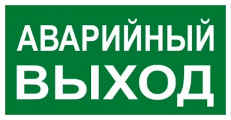 Знак "АВАРИЙНЫЙ ВЫХОД" 150х300мм PROxima | an-5-04 | EKF — миниатюра 1