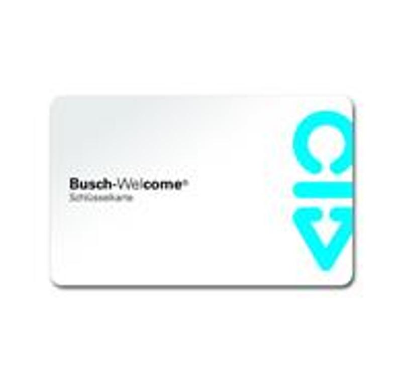 Карта доступа | 8300-0-0387  | 2CKA008300A0387 | ABB — ABB