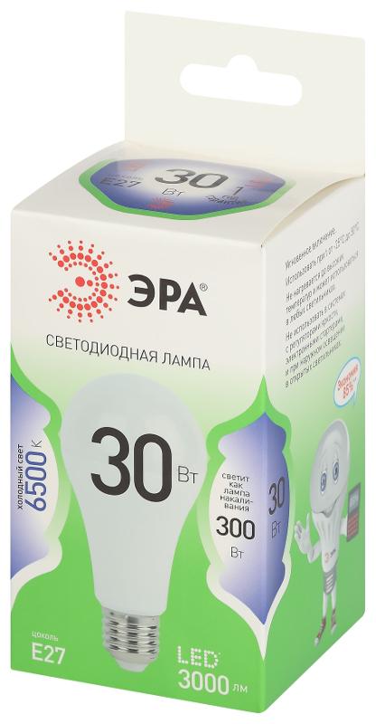 Лампа светодиодная  GREEN LINE LED A65-30W-865-E27 GL E27 30 Вт груша холодный свет | Б0067145 | ЭРА — миниатюра 5