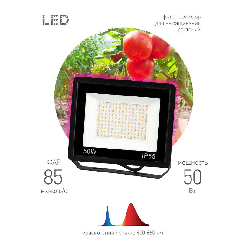 Прожектор светодиодный фито для растений красно-синий спектр FITO-50W-RB-LED | Б0046368 | ЭРА — миниатюра 1