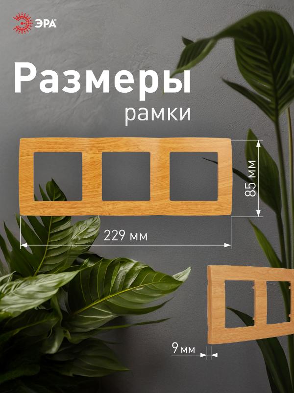 Рамка на 3 поста 12-5003-07  ,  ольха  |Б0014767 | ЭРА — миниатюра 4