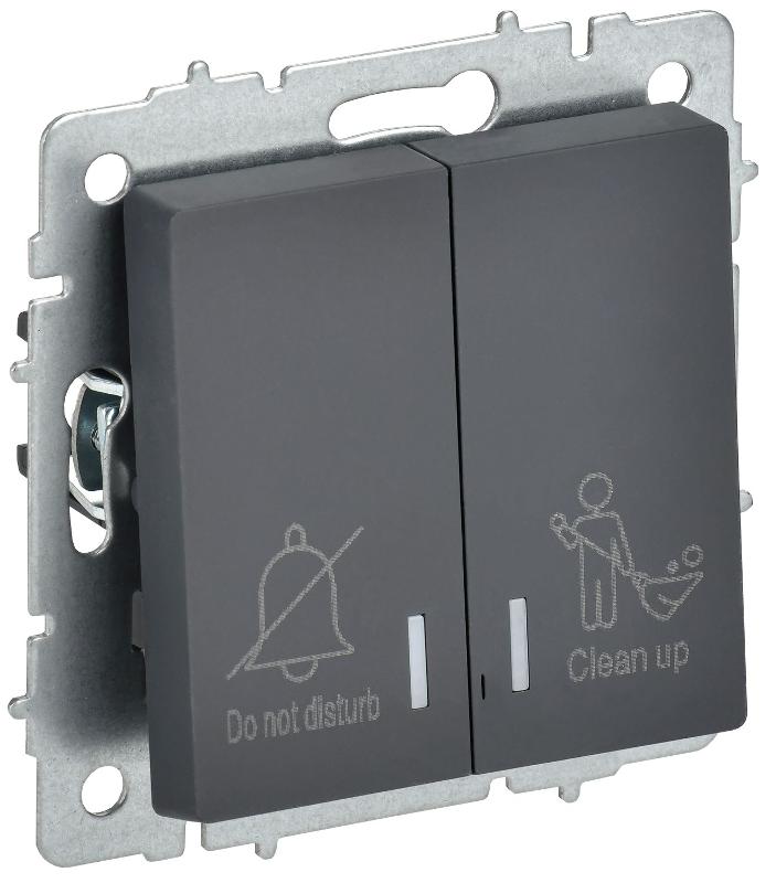 BRITE Выключ. 2-кл. с инд. отел. 10А ВС10-2-9-БрГ граф. | BR-V20-2-10-K53 | IEK — миниатюра 1