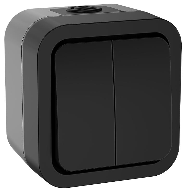 TORS Выключатель двухклавишный 10А IP55 TS105 графит | TS-V20-0-10-55-K53 | IEK — IEK (ИЭК)