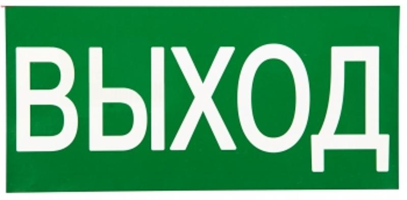 Знак "ВЫХОД" 150х300мм PROxima | an-5-03 | EKF — миниатюра 1