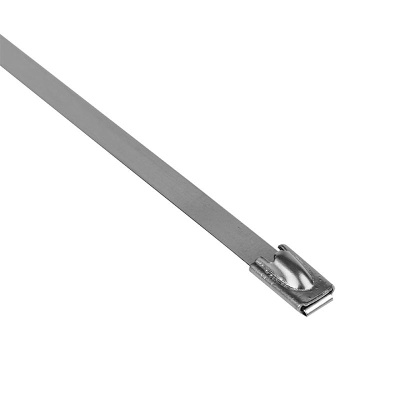 Хомут AISI 304 из нержавеющей стали, 4.6x290 (10 шт.) FlexLock PROxima | plc-fl-tss-304-4.6x290-r | EKF — миниатюра 4