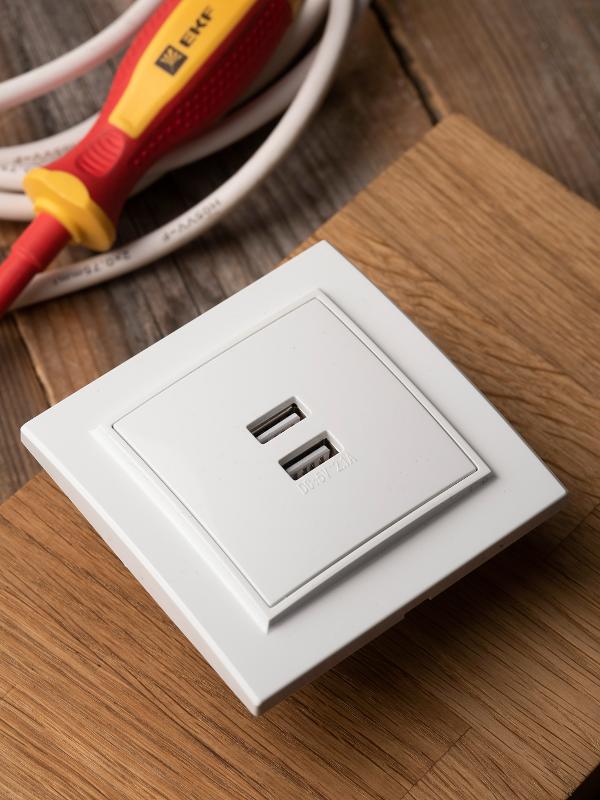 Минск Розетка USB 2-местная СП 2,1А  белая   | ERR-2USB-100 | EKF — миниатюра 2