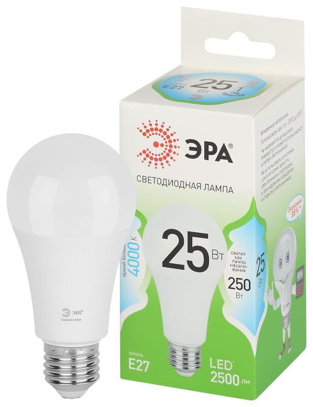 Лампа светодиодная  GREEN LINE LED A60-25W-840-E27 GL E27 25 Вт груша яркий белый свет | Б0067117 | ЭРА — миниатюра 1
