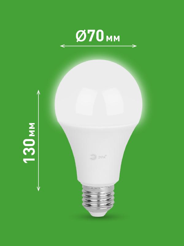 Лампа светодиодная  GREEN LINE LED A65-30W-840-E27 GL E27 30 Вт груша яркий белый свет | Б0067144 | ЭРА — миниатюра 2