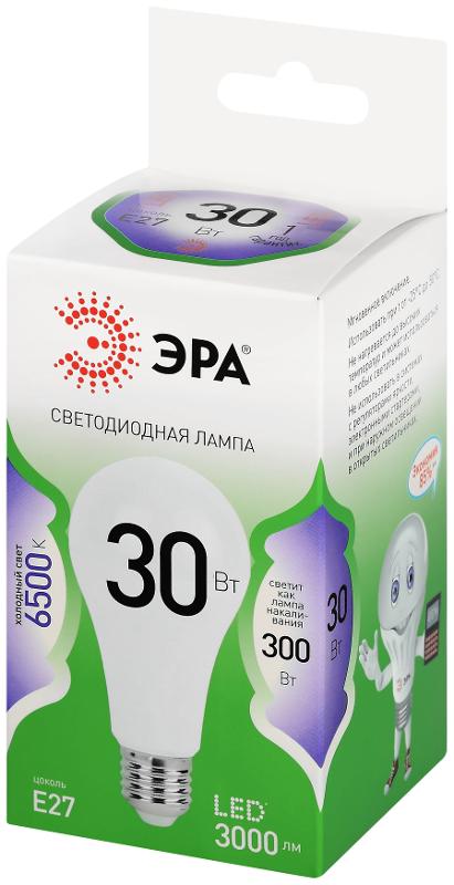 Лампа светодиодная  GREEN LINE LED A65-30W-865-E27 GL E27 30 Вт груша холодный свет | Б0067145 | ЭРА — миниатюра 5