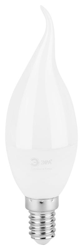 Лампа светодиодная  GREEN LINE LED BXS-8W-830-E14 GL E14 8 Вт свеча на ветру теплый свет | Б0067103 | ЭРА — миниатюра 6