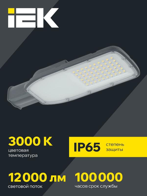 Светильник светодиодный консольный уличный  ДКУ 1004-100Ш 3000К IP65 серый | LDKU1-1004-100-3000-K03 | IEK — миниатюра 3