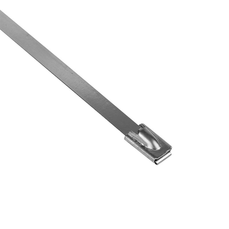 Хомут AISI 304 из нержавеющей стали, 4.6x200 (10 шт.) FlexLock PROxima | plc-fl-tss-304-4.6x200-r | EKF — миниатюра 4