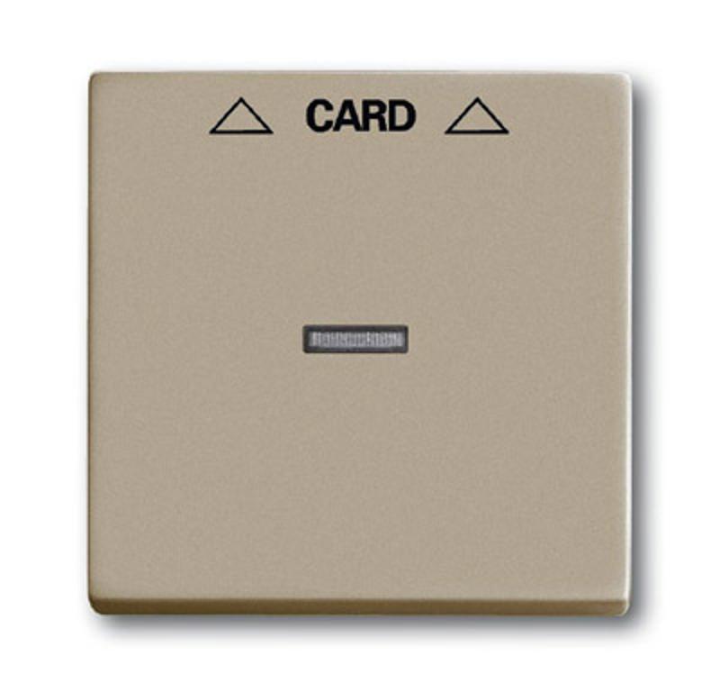ABB Basic 55 Шампань Накладка карточного выключателя(мех. 2025U) | 1710-0-3929  | 2CKA001710A3929 | ABB — ABB