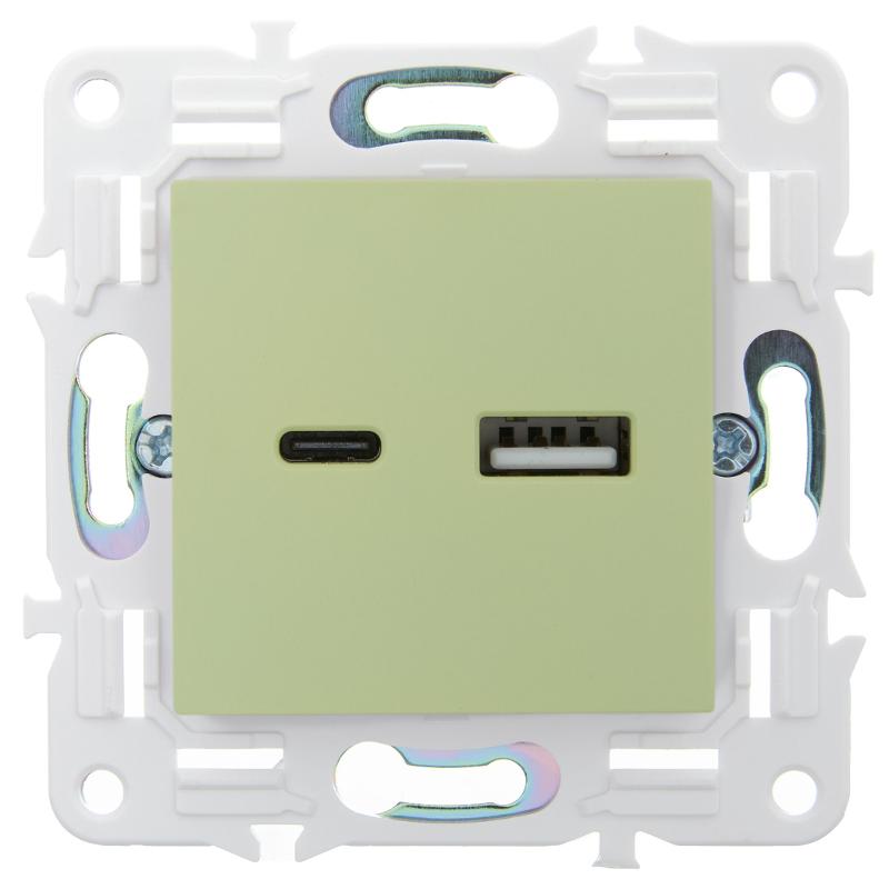 SKANDY Розетка USB A+C 3,1А SK-R14M мятный | SK-U22-D31-K06 | IEK — миниатюра 2