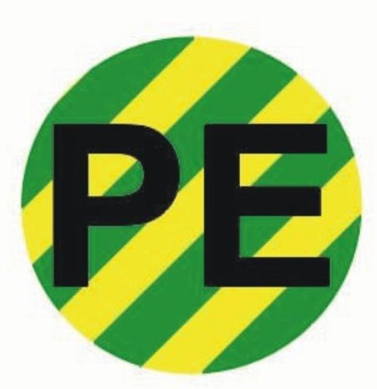 Наклейка "PE" d=20мм PROxima | an-2-07-1 | EKF — EKF