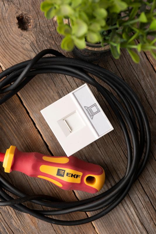 Розетка RJ45, категории 5е (ширина 2 модуля) | E2MK015E-135-10 | EKF — миниатюра 10